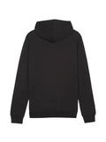 PUMA TeamGOAL hoodie